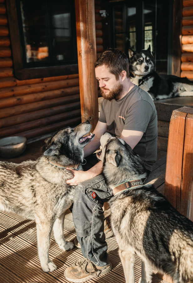 Gutschein – Kleine Rudelpause im Husky-Rudel