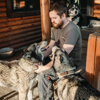 Gutschein – Kleine Rudelpause im Husky-Rudel