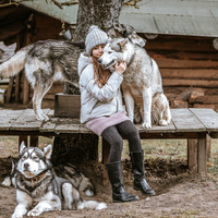 Gutschein – Kleine Rudelpause im Husky-Rudel