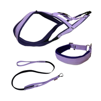Sledwork Xback Active Mini Set | Zuggeschirr, Halsband & Zughundeleine