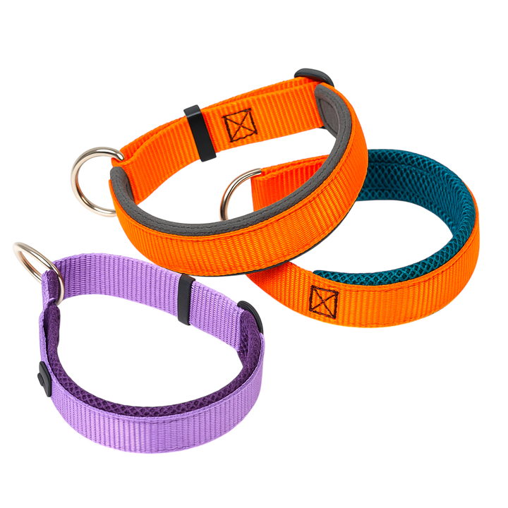 Sledwork Zugstopp Halsband in 3 Sonderfarben Lila, Petrol und Anthrazit