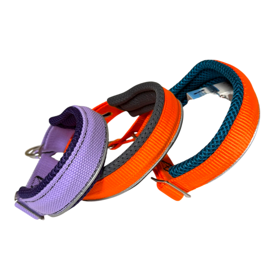 Sledwork Zugstopp Halsband in 3 Sonderfarben