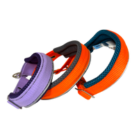 Sledwork Zugstopp Halsband in 3 Sonderfarben