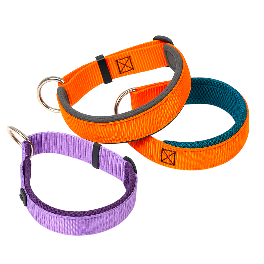 Sledwork Zugstopp Halsband in 3 Sonderfarben Lila, Petrol und Anthrazit