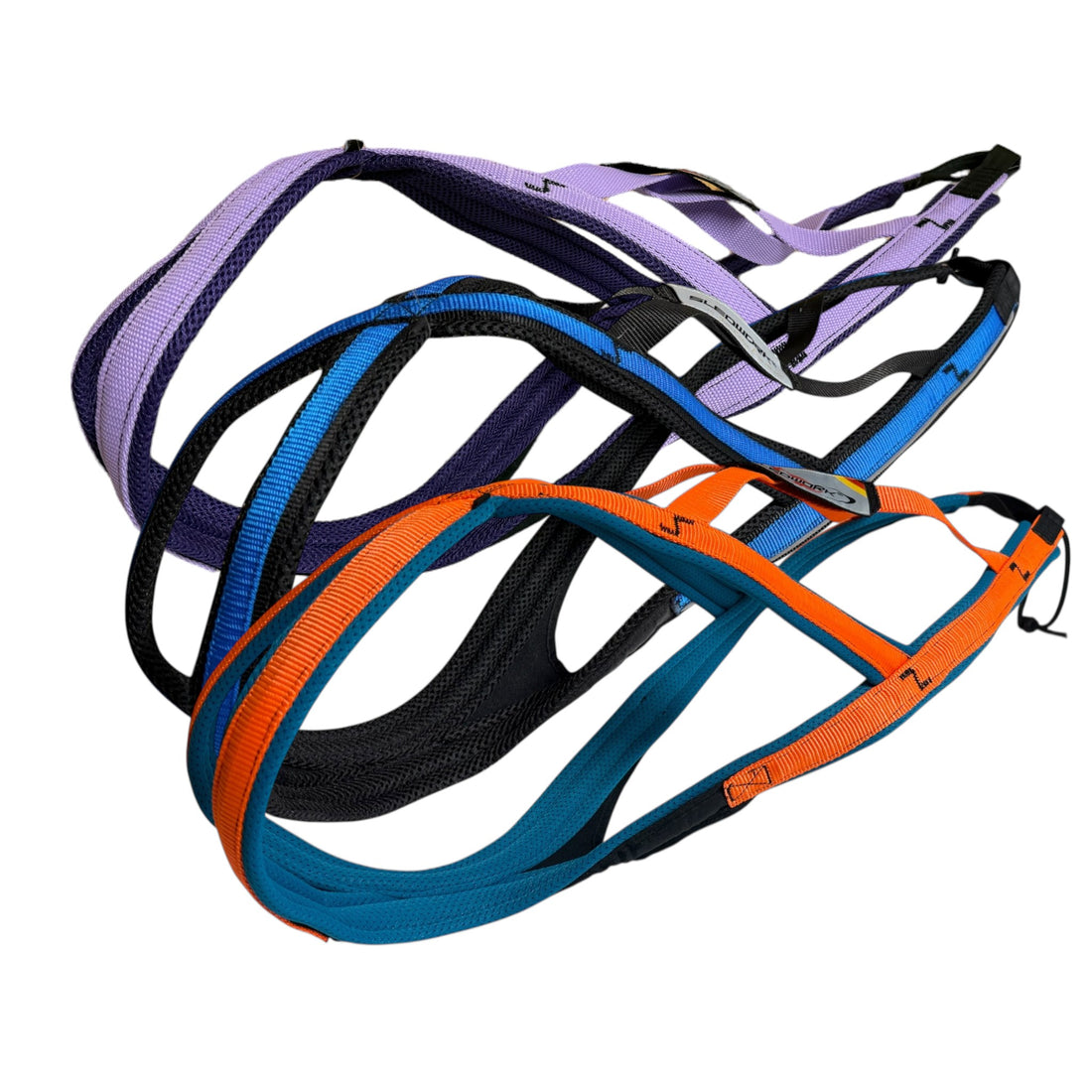 Sledwork G2 Zuggeschirr in Sonderfarben von Pinewoodhuskys