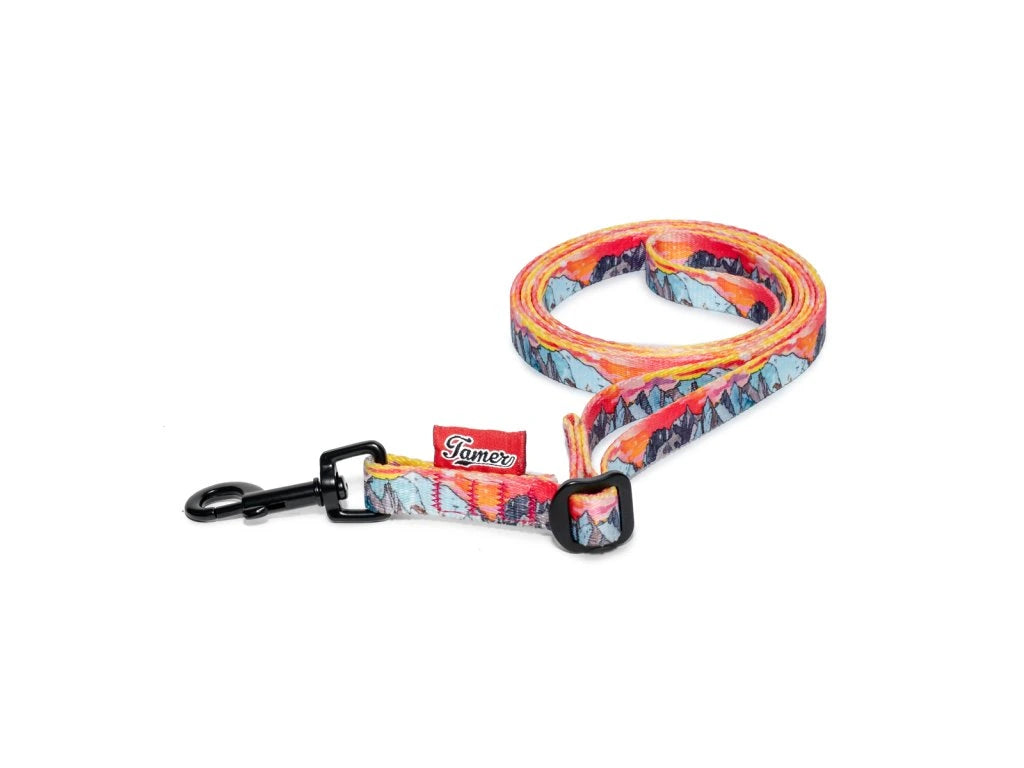 Tamer BASIC Gurtleine – stufenlos verstellbare Alltagsleine für Hunde bis 15 Kg