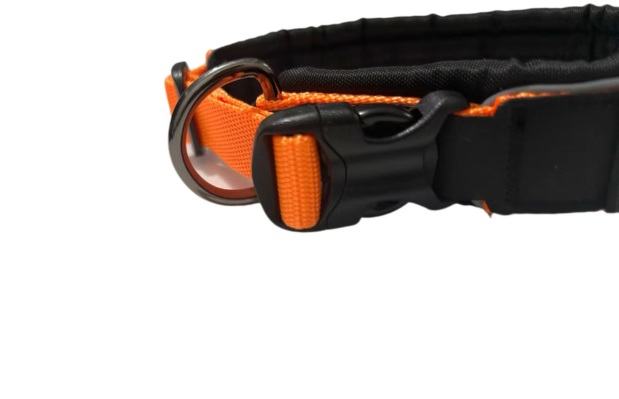 VIP Dogwear Klickverschluss Halsband in Orange 