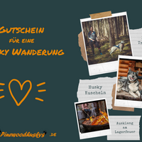 Gutschein Husky Wanderung