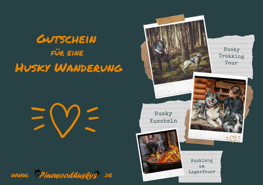 Gutschein Husky Wanderung