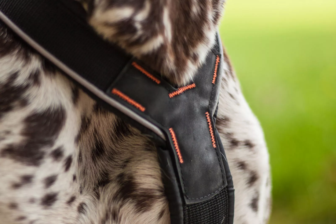 Non-stop Dogwear Nansen Stick Harness