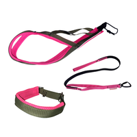 Sledwork Xback Active Mini Set | Zuggeschirr, Halsband & Zughundeleine