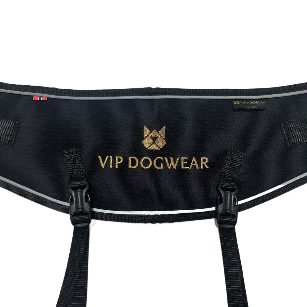 Laufgürtel von VIP Dogwear in Schwarz von hinten
