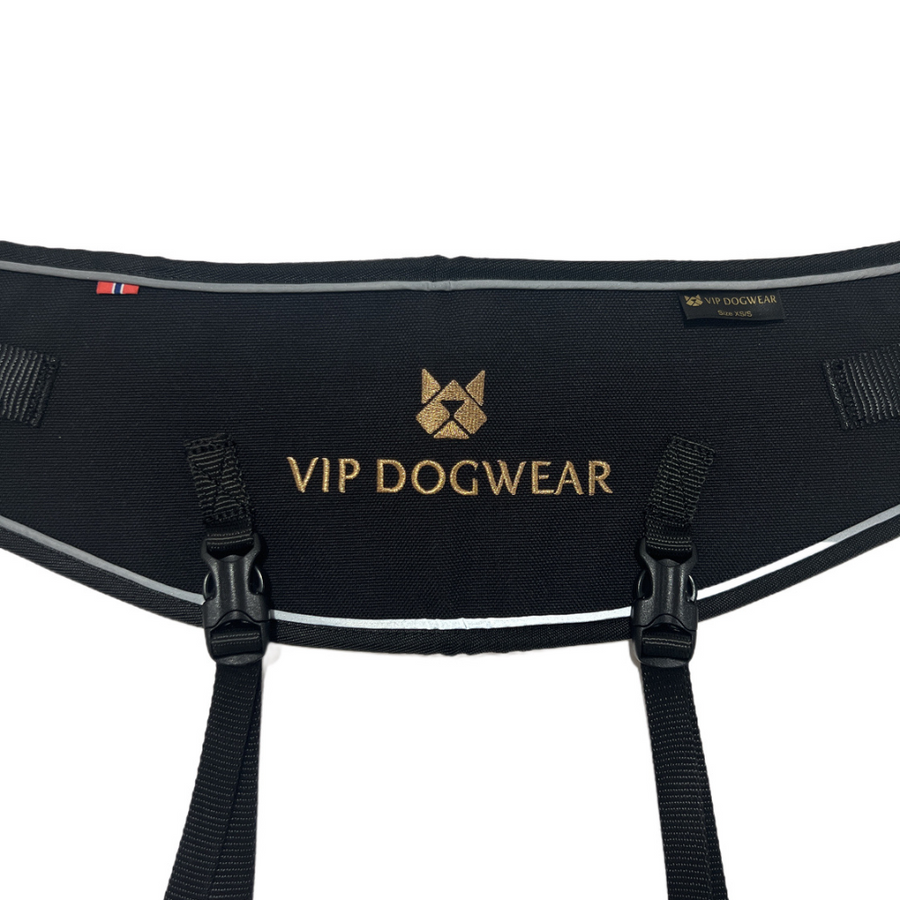 Laufgürtel von VIP Dogwear in Schwarz von hinten