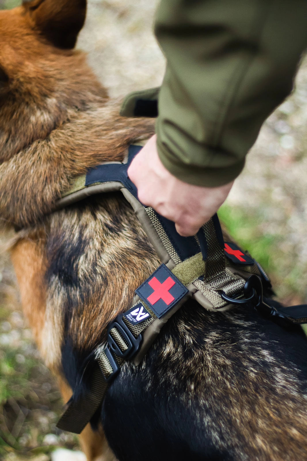 Line Harness Grip Working Dog