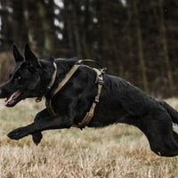 Line Harness Grip Working Dog