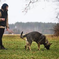 Line Harness Grip Working Dog