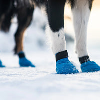 Long Distance Booties – Pfotenschutz für Training & Rennen im Zughundesport