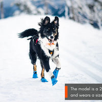 Long Distance Booties – Pfotenschutz für Training & Rennen im Zughundesport