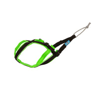 Open-Back Zuggeschirr für kleine & kompakte Hunde – ergonomisch, verstellbar & sicher