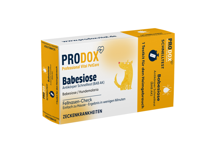 Prodox Babesiose Schnelltest für Hunde – Antikörper Test (BAB AK) Hundemalaria / Zeckenkrankheit