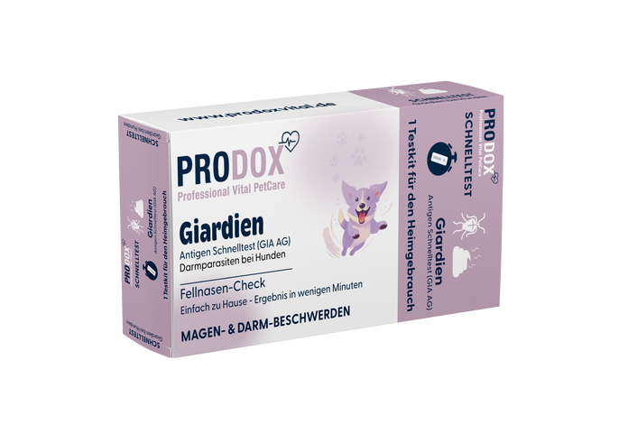 Prodox Giardien Schnelltest für Hunde – Antigen Test (GIA AG) Darmparasiten