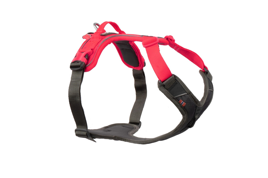 Ramble Harness Non-Stop