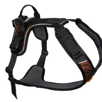 Rock Harness Non-Stop