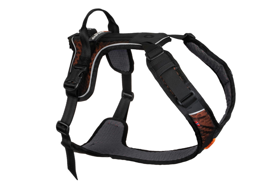 Rock Harness Non-Stop