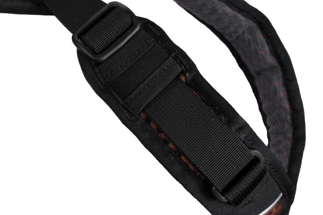 Rock Harness Non-Stop