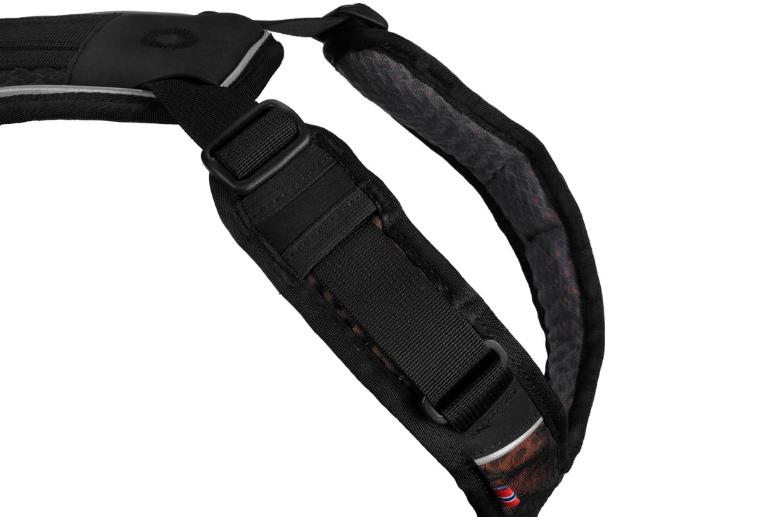 Rock Harness Non-Stop