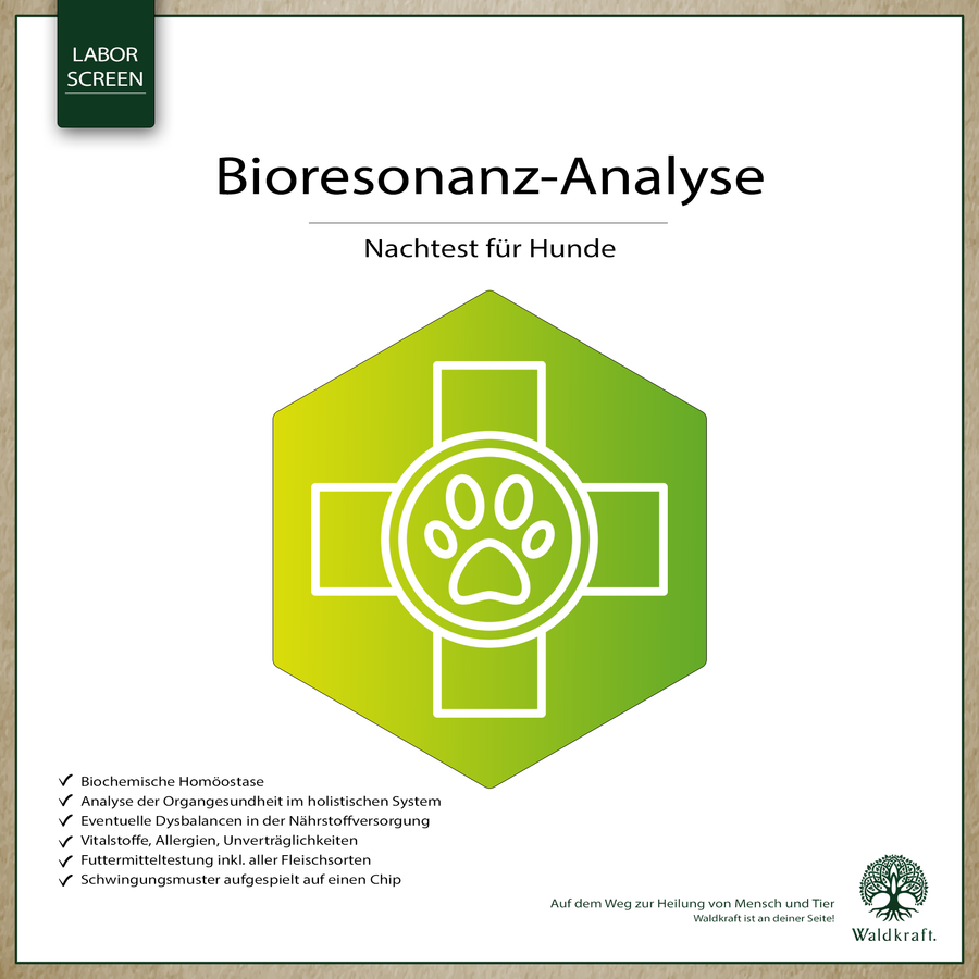 Bioresonanz-Analyse Hund