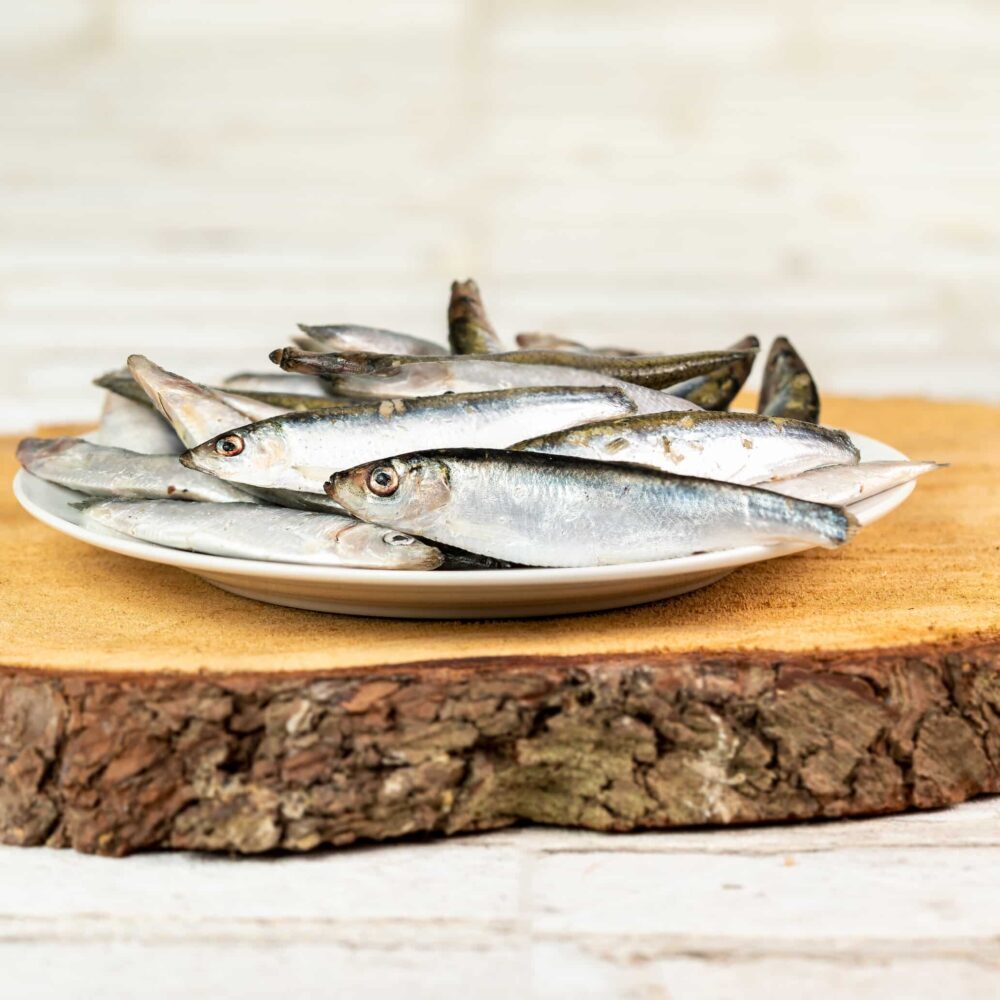 Sprotten roh & tiefgefroren – BARF Fisch für Hunde & Katzen